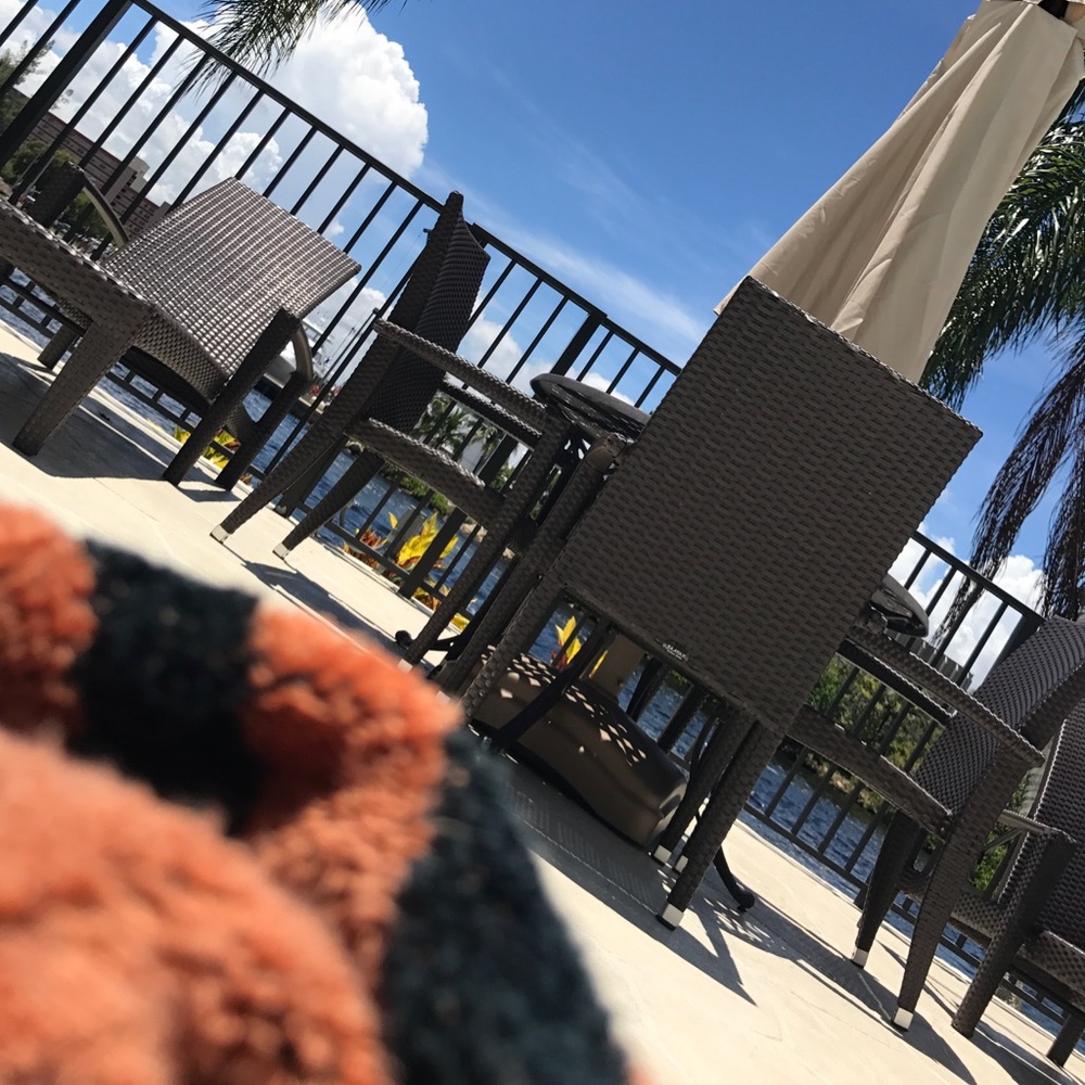 Plz make any offers,Trying toget as much moneyican