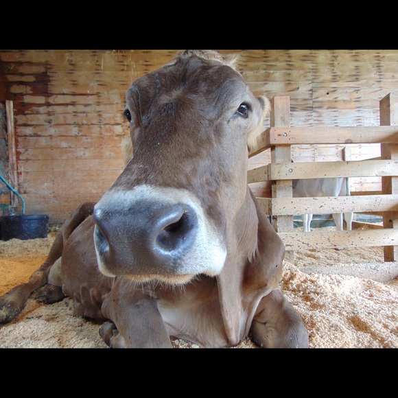 Meet your Posher, Kelly - Picture 1 of 1