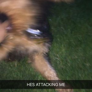 Meet your Posher, Penelope