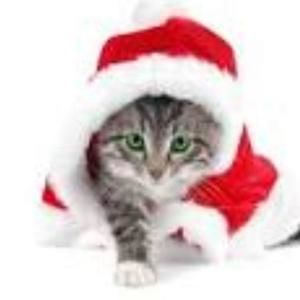 Meet your Posher, Daysi