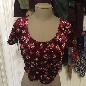 Velvet Floral Crop Top