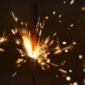 Meet your Posher, Bella