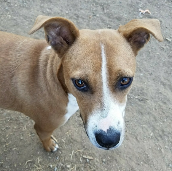 Meet the Posher - Picture 2 of 5