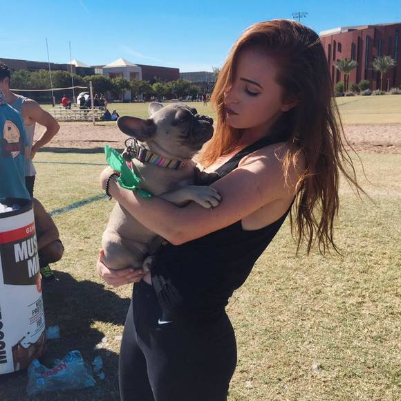 Meet your Posher, Chandler - Picture 1 of 1