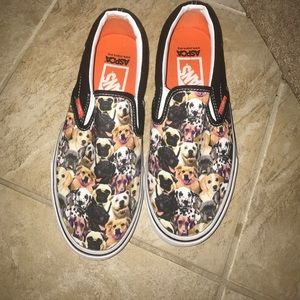 dog vans