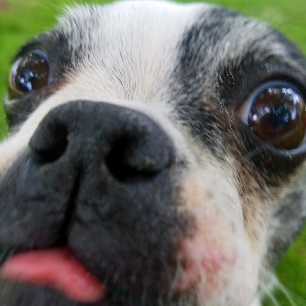 Meet your Posher, Rachel