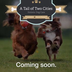 Meet your Posher, Ann