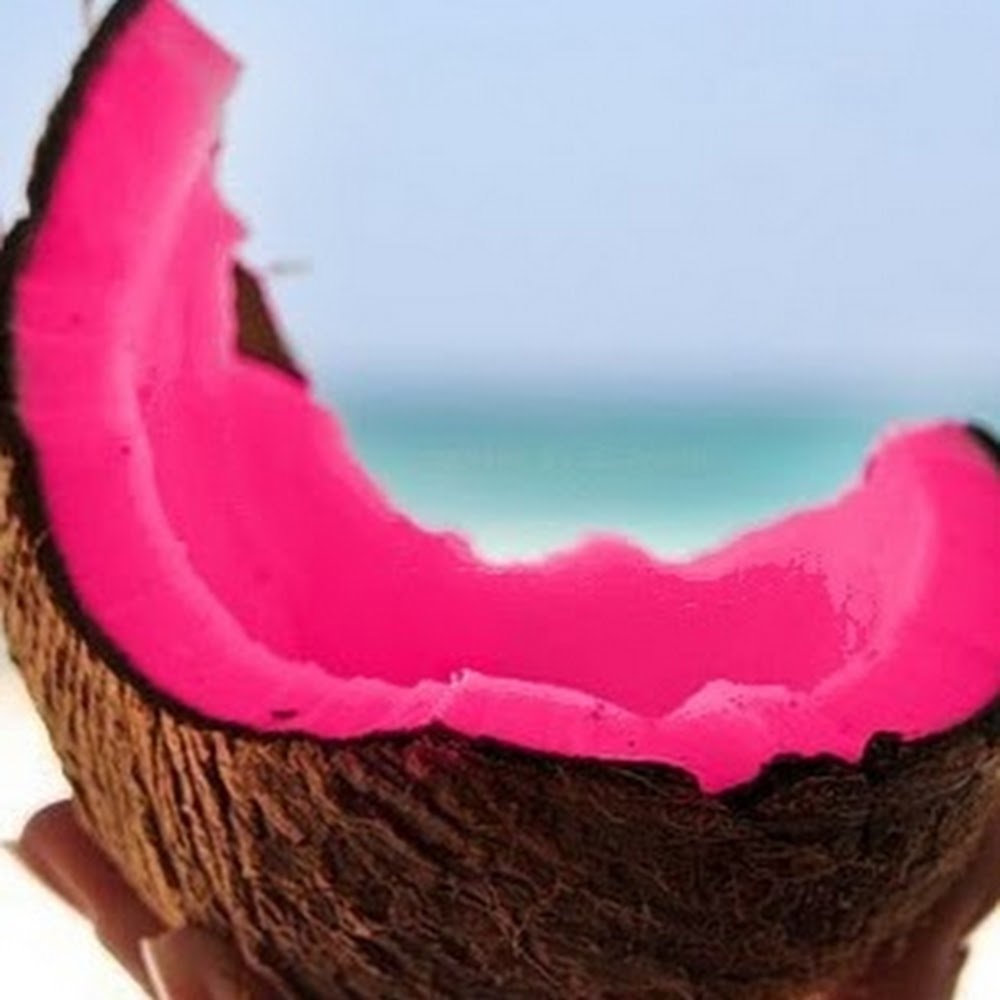 Meet your Posher, Brielle