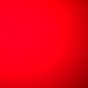 Meet your Posher, Gavin