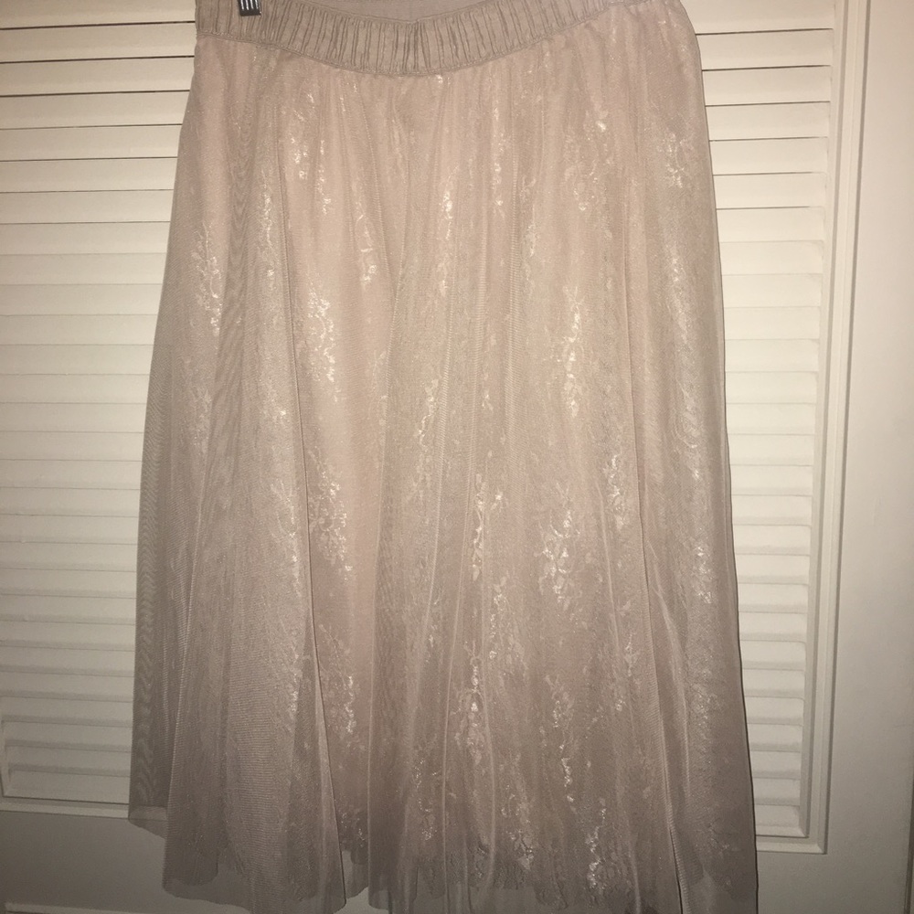 Tulle skirt from Francesca's
