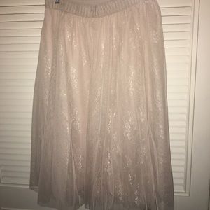 Tulle skirt from Francesca's
