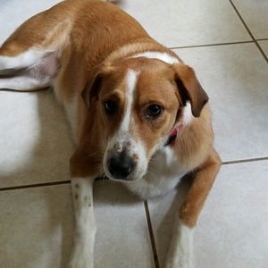 FOR Lolazcloset ONLY!