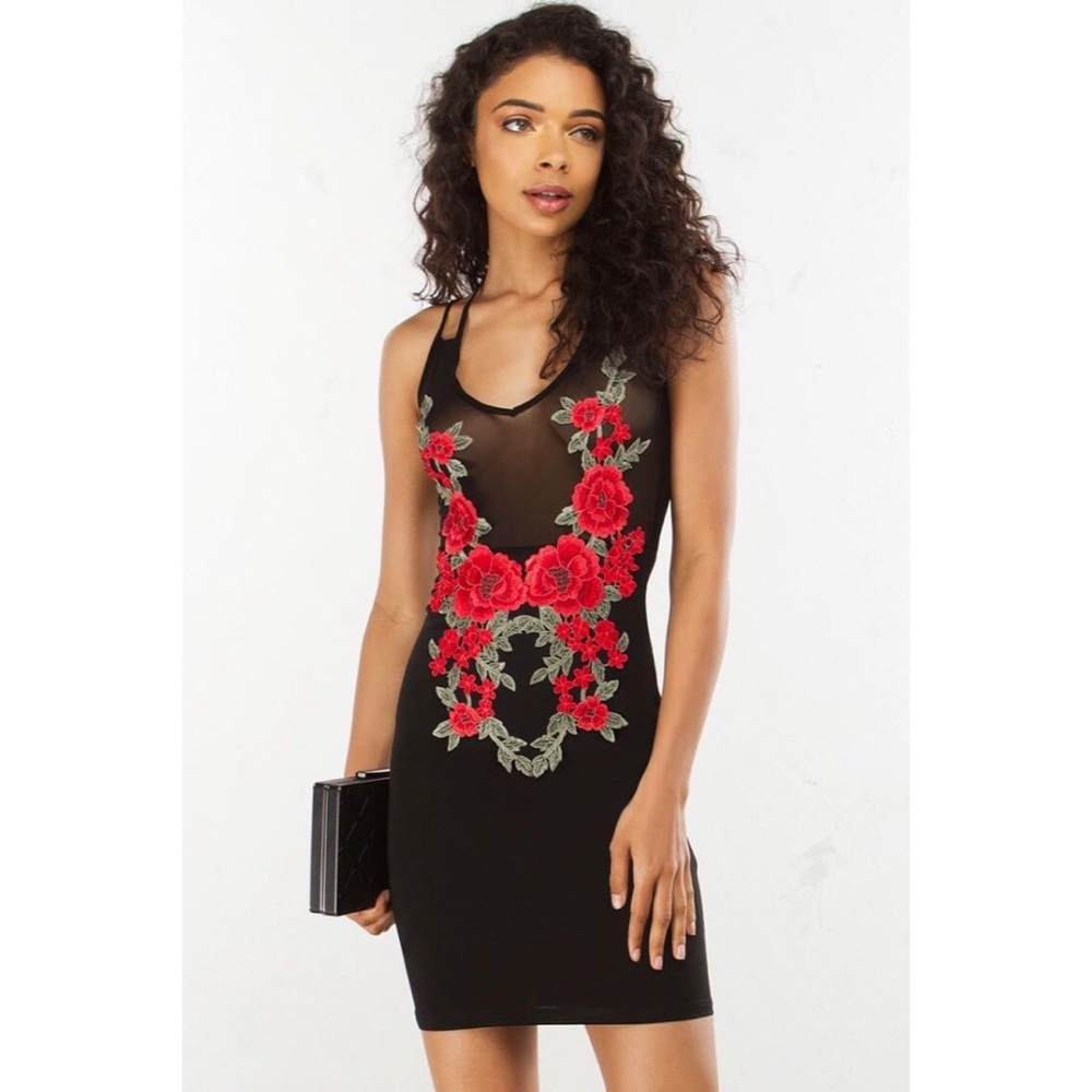 HUGE SALE🎉Akira mesh, embroidered dress