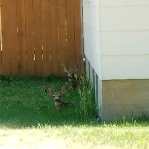 Meet your Posher, Caitlin