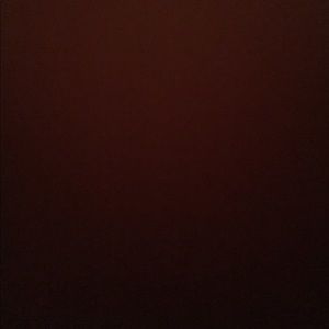 Green Moncler Coat ( photos coming soon ! )