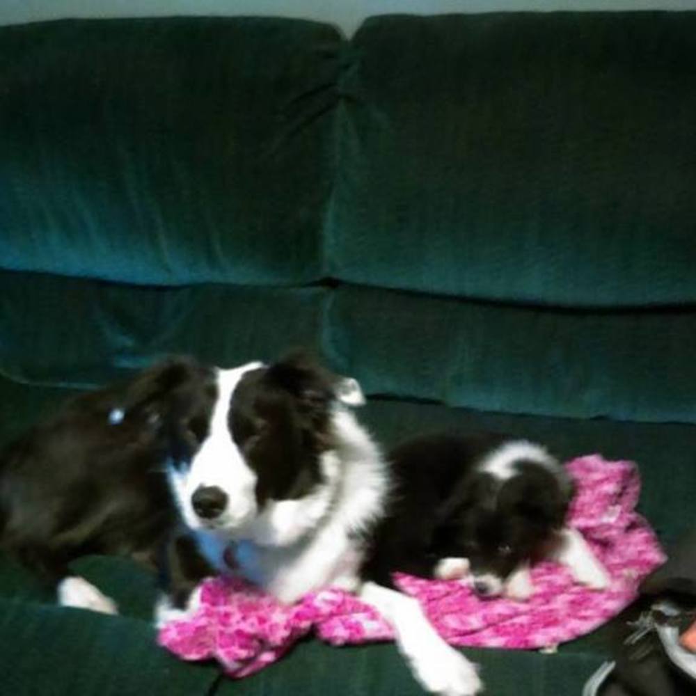 Meet your Posher, Sandra