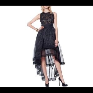 Gracia Sleeveless Sheer Dress 