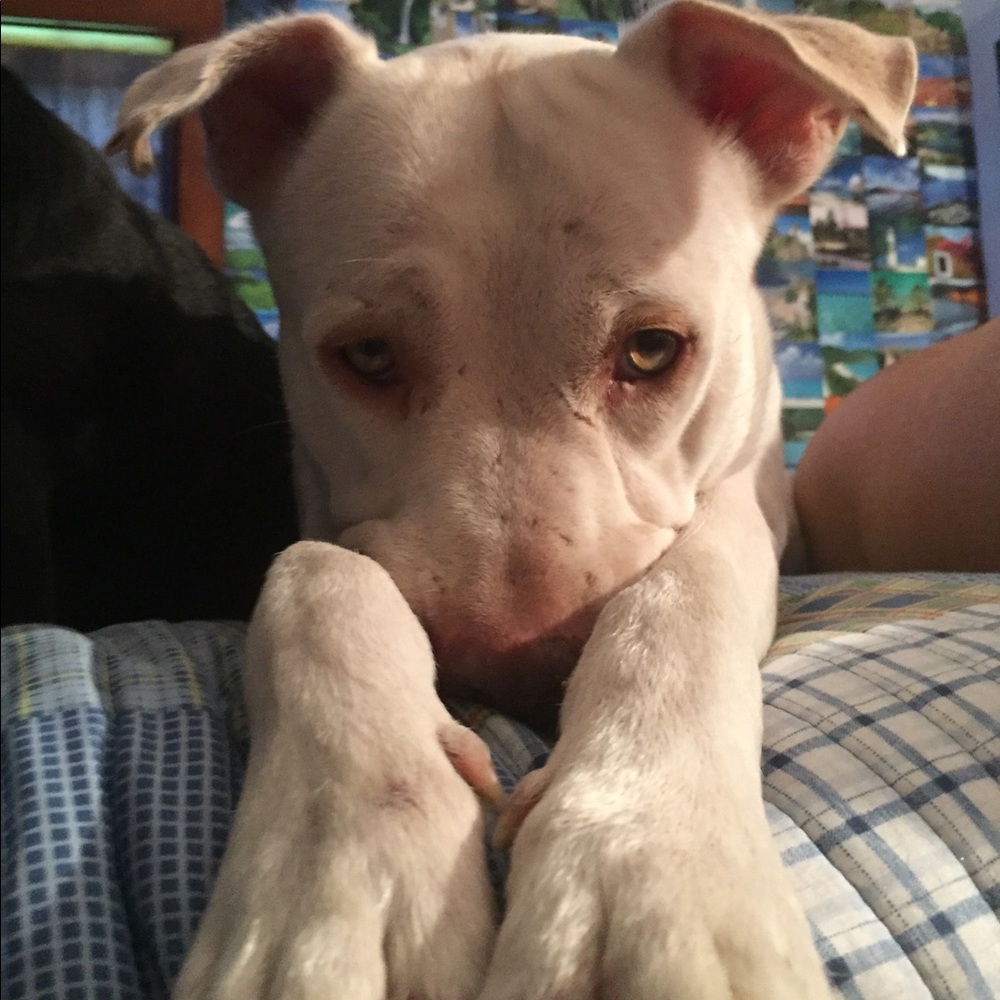 Meet your Posher, Jennifer