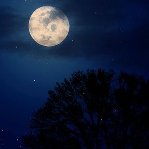 Meet your Posher, Sean