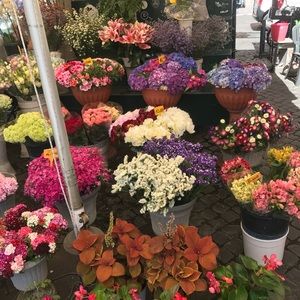 Meet your Posher, Ally