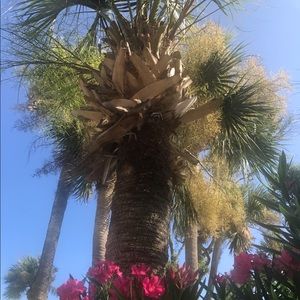 Meet your Posher, Loren