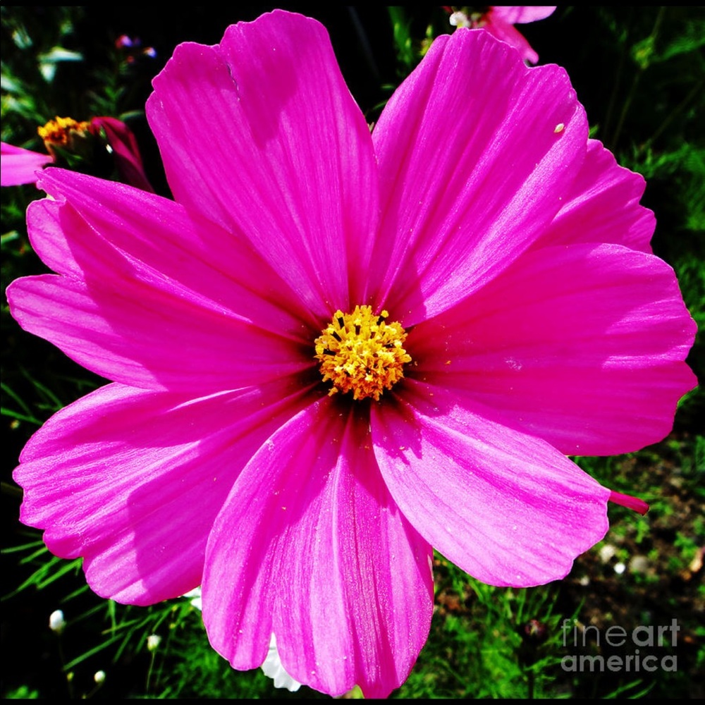 Meet your Posher, Zainab