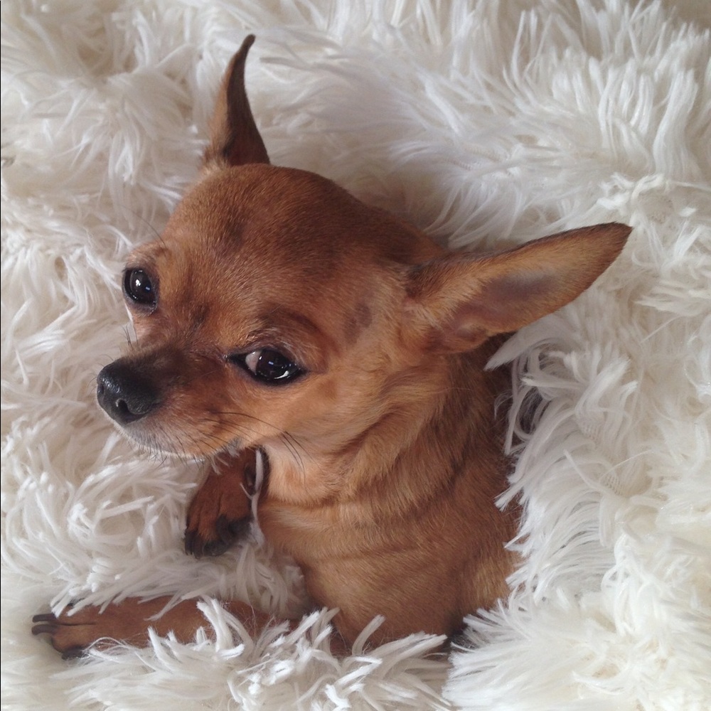 Meet your Posher, Sarah