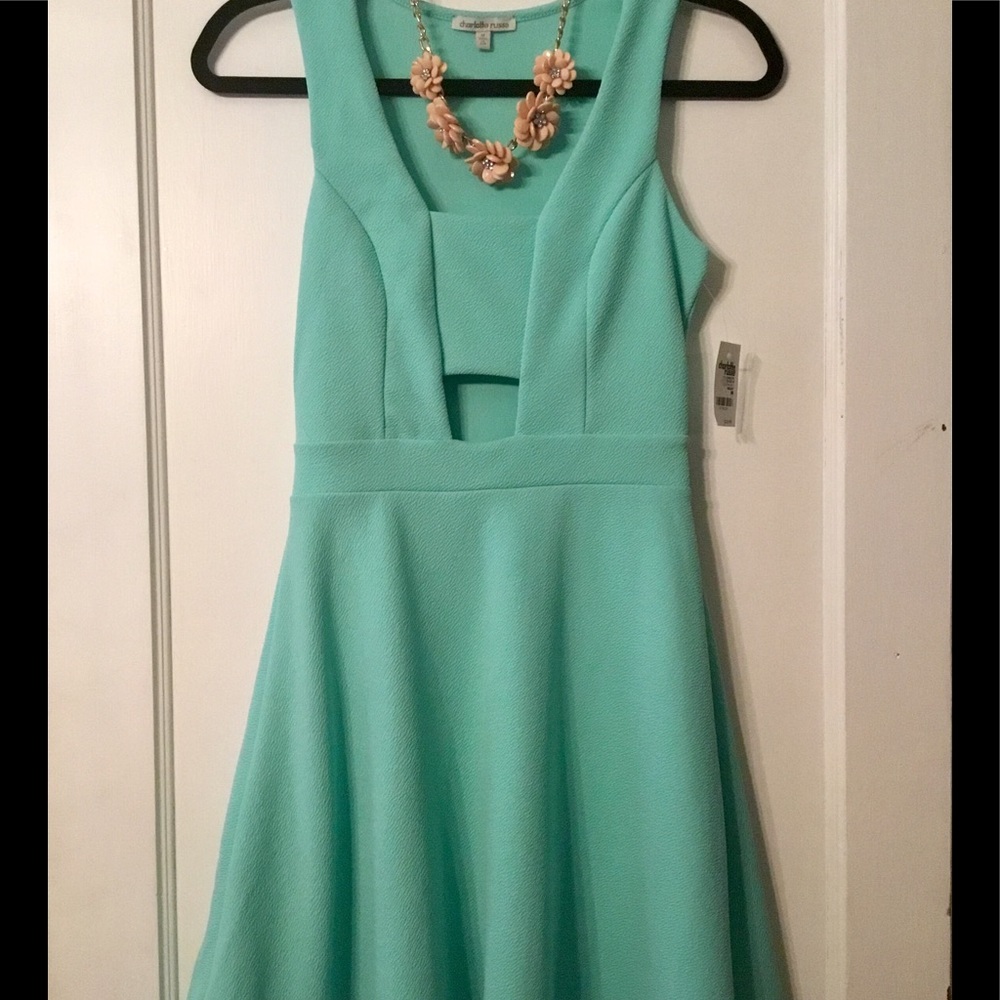 NWT Charlotte Russe Dress