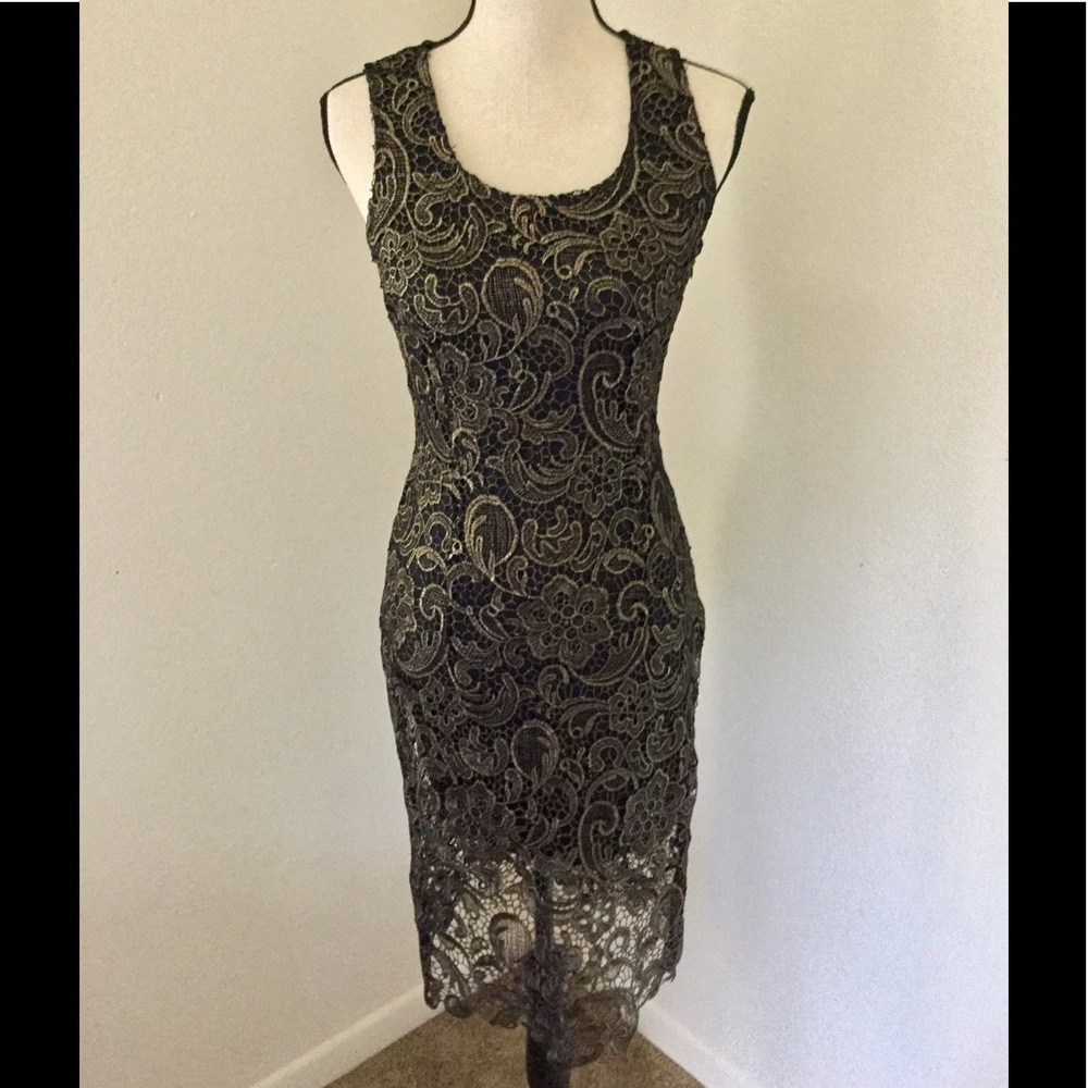 💋NWOT Sans Souci Metallic Foil Lace Midi-Dress💋