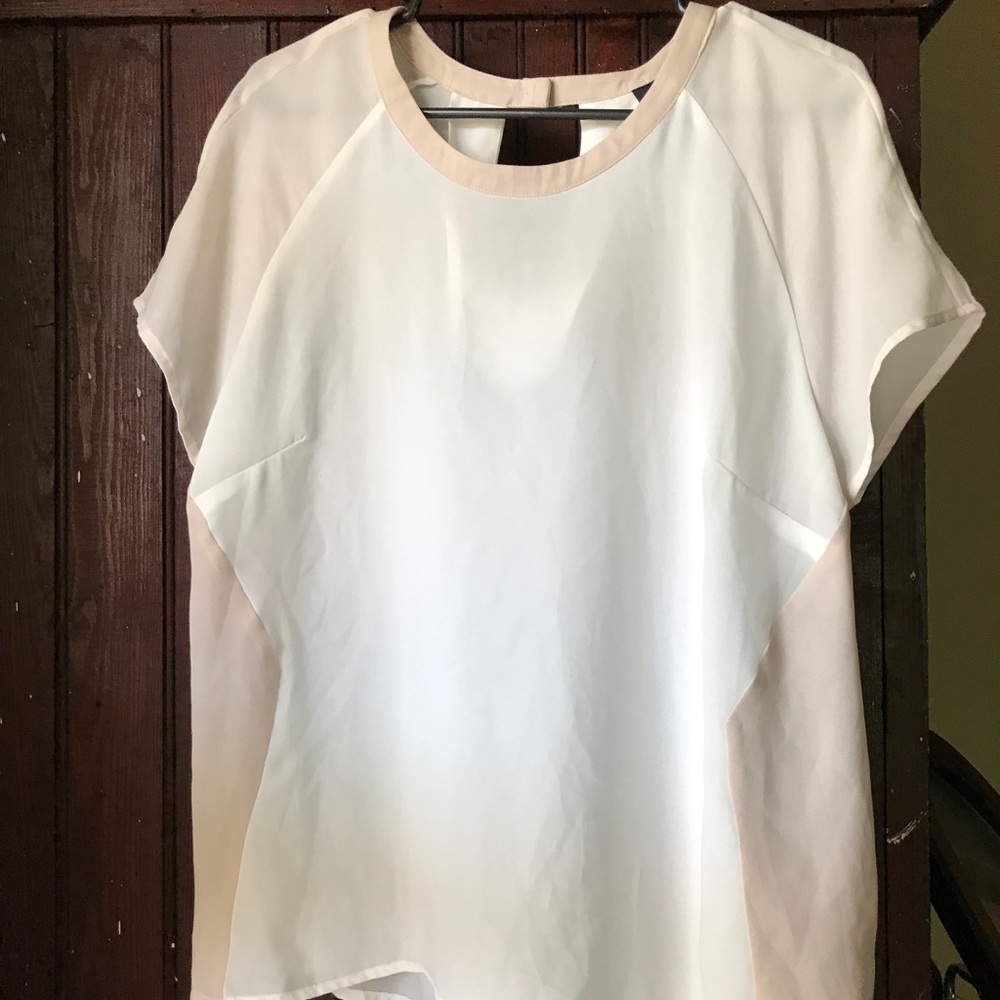 Sheer Top
