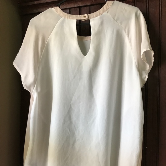 Sheer Top - Picture 2 of 3