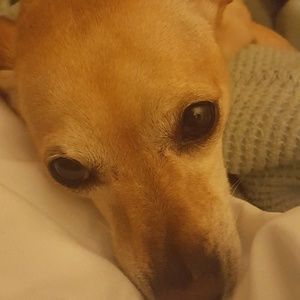 Meet your Posher, Jana