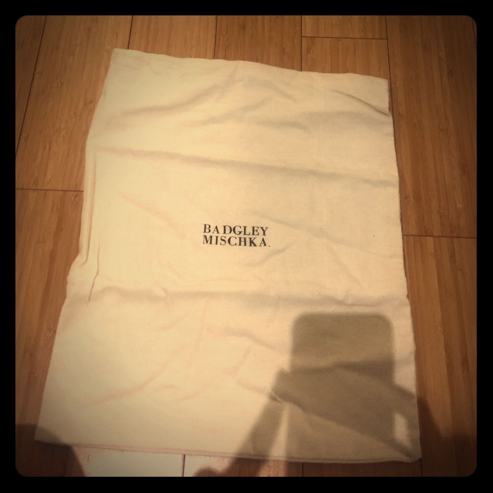 Badgley Mischka shoe bag
