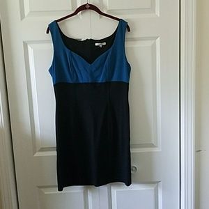 Black & Blue Dress