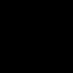 Meet your Posher, Alfonso