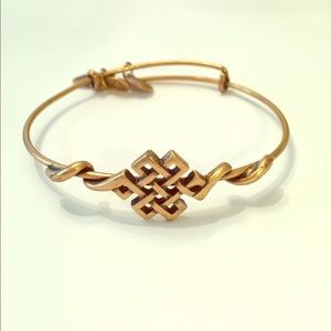 Alex and Ani Endless Knot Bangle Bracelet