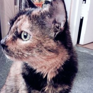 Meet your Posher, Rebecca