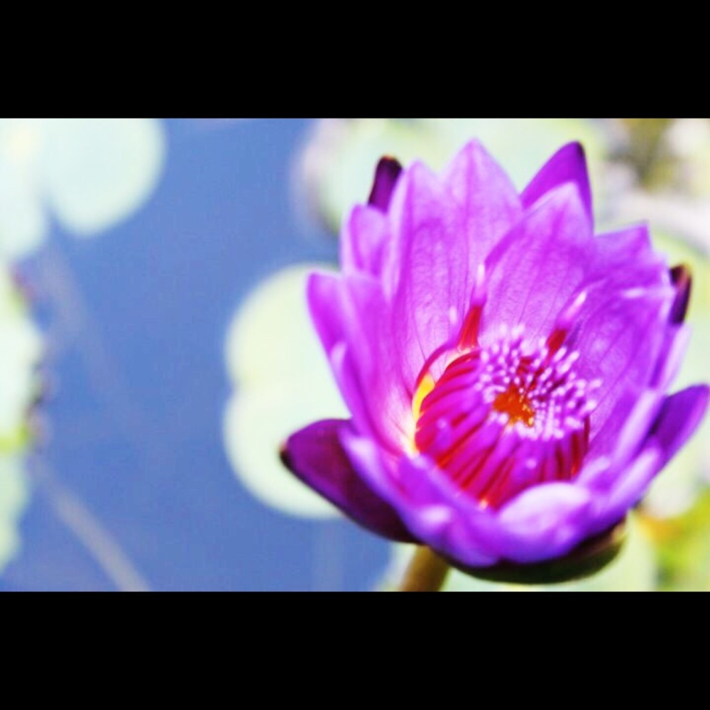 Meet your Posher, Amrutha