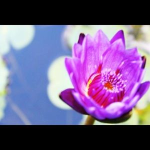 Meet your Posher, Amrutha