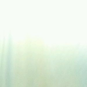 Meet your Posher, Clanessa