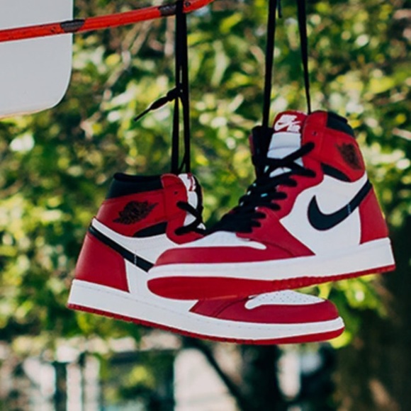 Meet your Posher, Logan - Picture 1 of 1