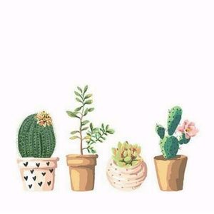 Meet your Posher, Mel