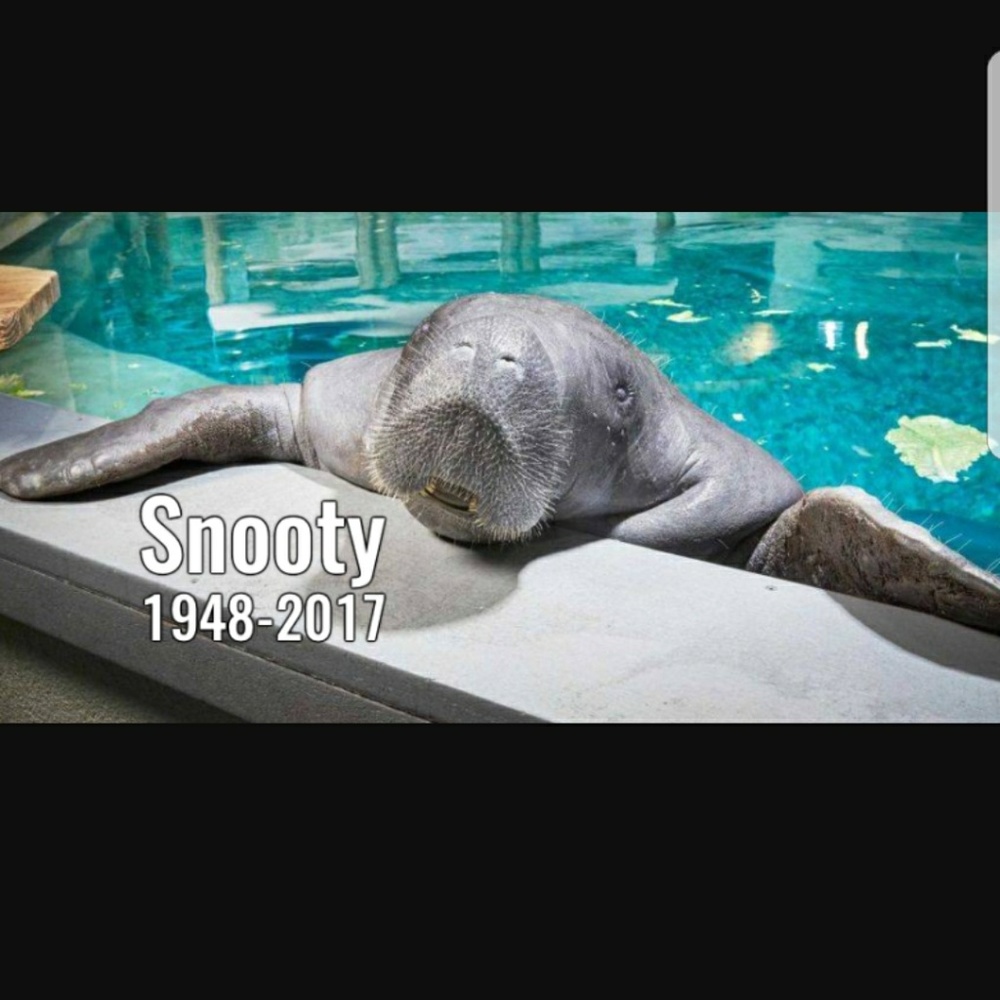 R.i.p. snooty