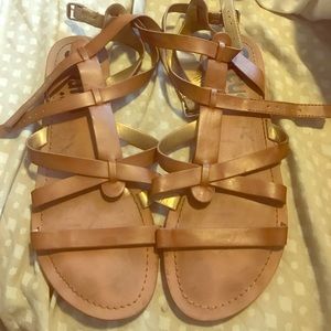 Sam Edelman circus gladiators