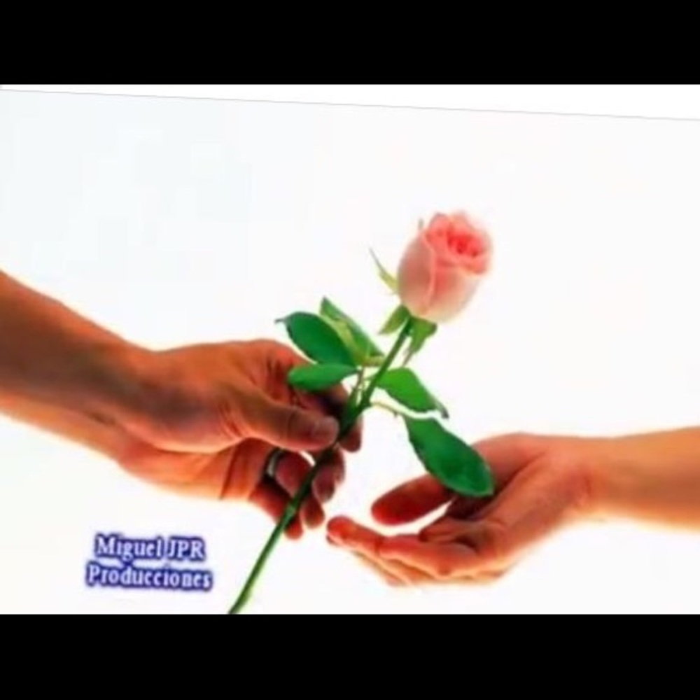 Meet your Posher, Neri