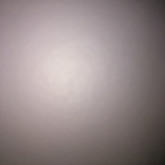 Meet your Posher, Brynna - Picture 1 of 1