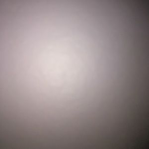 Meet your Posher, Brynna