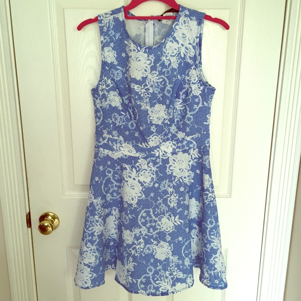 Blue Skater Dress