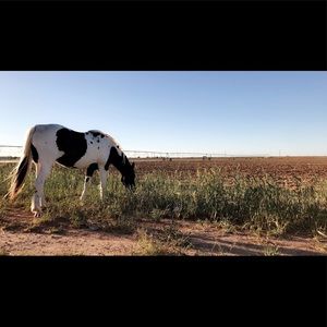 Meet your Posher, Jovan