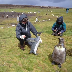 Meet your Posher, Lorraine